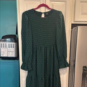 Beautiful Green Swiss Dot Long Sleeve Dress size medium